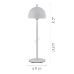 Lampa stołowa BELLIS 19244-16 Paul Neuhaus by Zuma Line