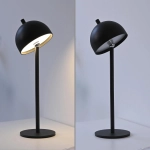 Lampa stołowa BELLIS 19244-18 Paul Neuhaus by Zuma Line Schöner Wohnen