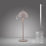 Lampa stołowa BELLIS 19244-39 Paul Neuhaus by Zuma Line Schöner Wohnen