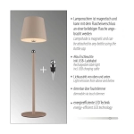 Lampa stołowa BOTERIA 19251-39 Paul Neuhaus by Zuma Line