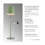 Lampa stołowa BOTERIA 19251-43 Paul Neuhaus by Zuma Line