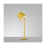 Lampa stołowa BOTERIA 19251-81 Paul Neuhaus by Zuma Line
