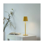 Lampa stołowa BOTERIA 19251-81 Paul Neuhaus by Zuma Line
