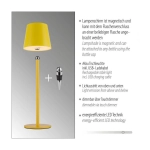 Lampa stołowa BOTERIA 19251-81 Paul Neuhaus by Zuma Line