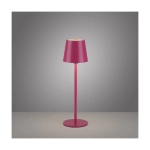 Lampa stołowa BOTERIA 19251-87 Paul Neuhaus by Zuma Line