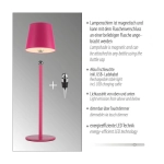 Lampa stołowa BOTERIA 19251-87 Paul Neuhaus by Zuma Line