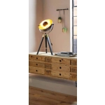 Lampa stołowa COVALEDA 49617 EGLO - zdjęcie produktu