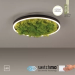 Lampa sufitowa GREEN RITUS 15392-66 Paul Neuhaus