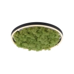 Lampa sufitowa GREEN RITUS 15391-66 Paul Neuhaus