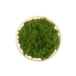 Lampa sufitowa GREEN RITUS 15391-66 Paul Neuhaus