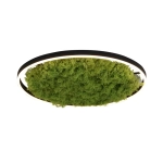 Lampa sufitowa GREEN RITUS 15392-66 Paul Neuhaus