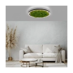 Lampa sufitowa GREEN RITUS 15392-66 Paul Neuhaus
