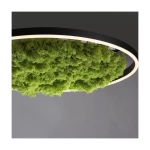 Lampa sufitowa GREEN RITUS 15392-66 Paul Neuhaus