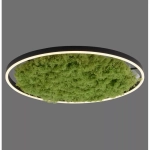Lampa sufitowa GREEN RITUS 15392-66 Paul Neuhaus