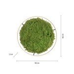 Lampa sufitowa GREEN RITUS 15392-66 Paul Neuhaus