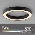 Lampa sufitowa PURE LINES ROUND 6310-13 Paul Neuhaus - zdjęcie produktu