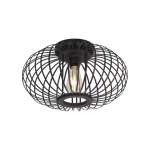 Lampa sufitowa RACOON 11410-18 Paul Neuhaus