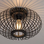 Lampa sufitowa RACOON 11410-18 Paul Neuhaus