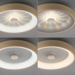 Lampa sufitowa VERTIGO 14384-60 Paul Neuhaus