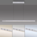 Lampa wisząca ADRIANA 2598-95 Paul Neuhaus by Zuma Line