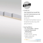 Lampa wisząca ADRIANA 2598-95 Paul Neuhaus by Zuma Line
