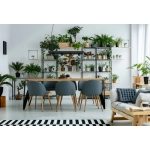 Lampa wisząca PLANT BLACK 9381 Nowodvorski - zdjęcie produktu