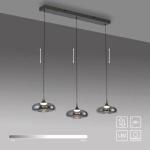 Lampa wisząca POSH 15693-15 Paul Neuhaus Schöner Wohnen - zdjęcie produktu