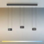 PURE CLIPSE LAMPA WISZĄCA z pilotem 2473-15 Paul Neuhaus by Zuma Line