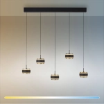Lampa wisząca PURE FALLING RINGS 2504-18 Paul Neuhaus by Zuma