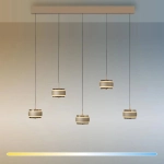 Lampa wisząca PURE FALLING RINGS 2504-97 Paul Neuhaus by Zuma