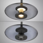 Lampa wisząca PURE VITRUM 2083-15 Paul Neuhaus by Zuma Line