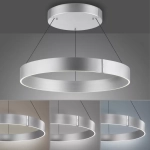 PURE E-CLIPSE LAMPA WISZĄCA z pilotem 2561-95 Paul Neuhaus by Zuma Line