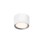 kinkiecik.pl Landon Smart LED Nordlux - biały spot sufitowy - IP44 2110840101