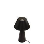 Lampa stołowa ZANELLI LNV0047034 Lunaveri