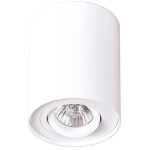 Plafon Basic Round White C0067 - zdjęcie produktu