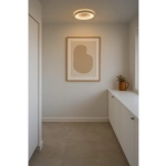 Plafon LED Halyna biały 39,5 cm 2610136001 Nordlux