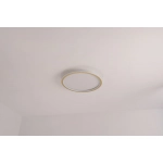 Plafon LED okrągły Abigali 500*45mm 36W - trzy barwy, ściemnialny - Pilot ABIGALI-MD1803-R50-Y-G Plafon LED okrągły Abigali 500*45mm 36W - trzy barwy, ściemnialny - Pilot ABIGALI-MD1803-R50-Y-G