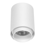 Oprawa natynkowa LED DABI PZE-930 CCT 3000-6000K 8W biała 1592DL DOMENO LIGHTING - zdjęcie produktu
