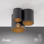 Lampa sufitowa Pure Point Czarna 6750-18 Paul Neuhaus - zdjęcie produktu