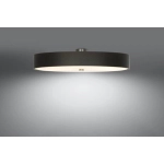 kinkiecik.pl Plafon SKALA 100 SL.0818 SOLLUX LIGHTING
