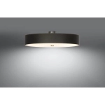 kinkiecik.pl Plafon SKALA 80 SL.0814 SOLLUX LIGHTING