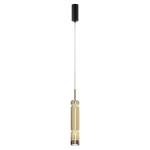 Lampa wisząca Ordo MOD272PL-L12BS3K1 Maytoni - zdjęcie dodatkowe 5