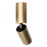 kinkiecik.pl Plafon Focus C051CL-01G Maytoni