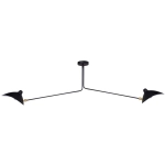 Lampa wisząca CRANE-2P dwuramienna czarna - zdjęcie produktu