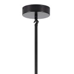 Lampa wisząca MODERN ORCHID-6 transparentno czarna 130 cm - zdjęcie produktu