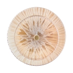 Lampa ścienna LUXIO LED bursztynowa 20 cm - zdjęcie produktu