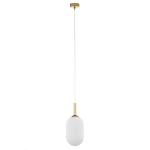 PLUUM 1 M ø15cm lampa wisząca złoty szczotkowany 41847 Sigma - zdjęcie 1
