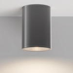 Plafon BAR O306CL-L12GF IP65 Maytoni - zdjęcie dodatkowe 8