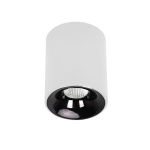 Oprawa natynkowa Tom biała LED CCT LP-4848/1RM WH Light Prestige