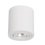 Tulon oprawa natynkowa biała LP-5441/1SM WH - zdjęcie produktu